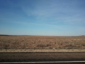 The west Texas landscape